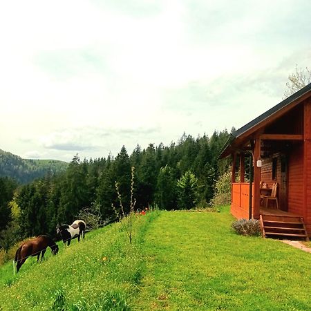 Vila Tiny House Ziri Exteriér fotografie