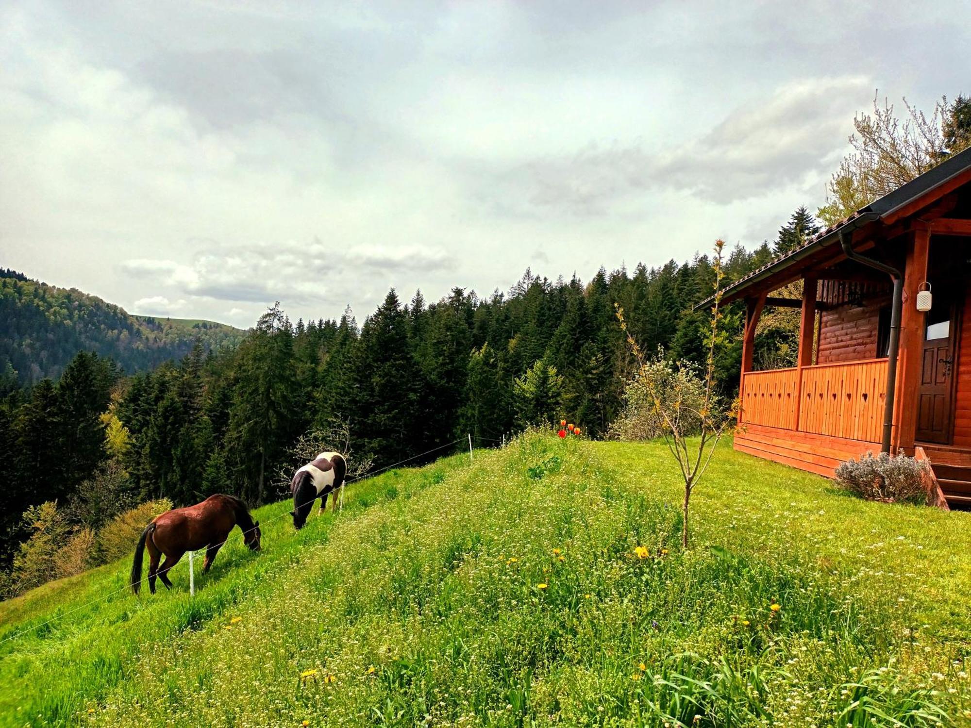 Vila Tiny House Ziri Exteriér fotografie